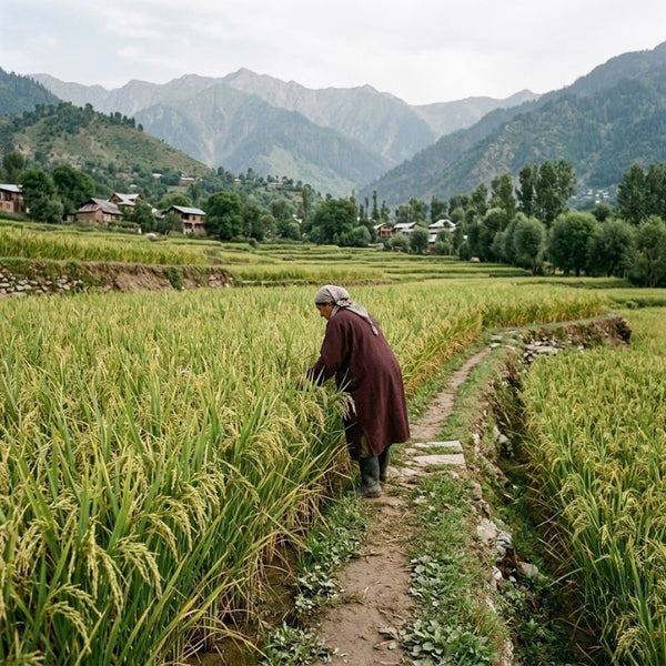 From our sourcing journey