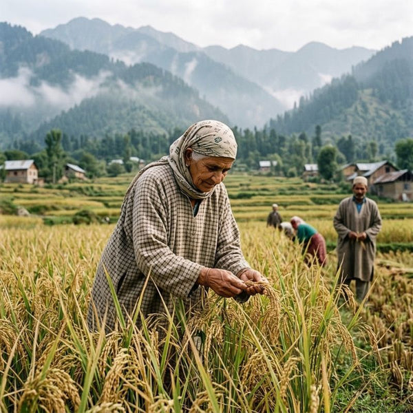 From our sourcing journey