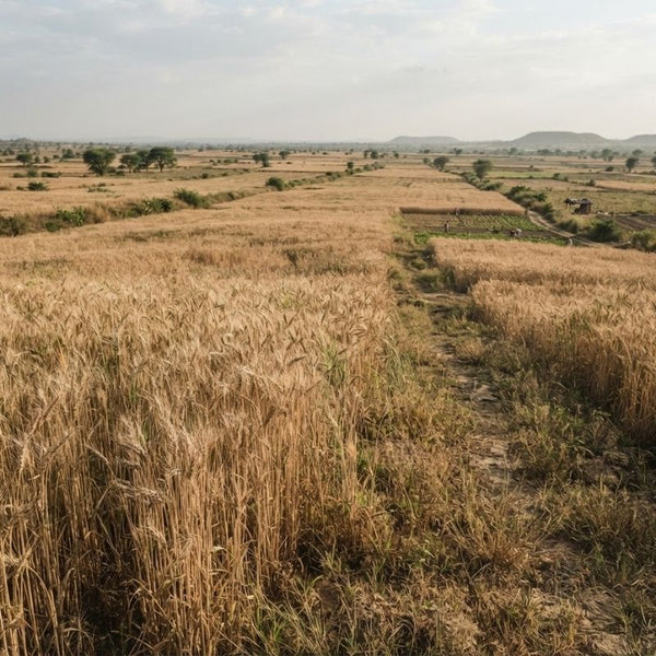 From our sourcing journey