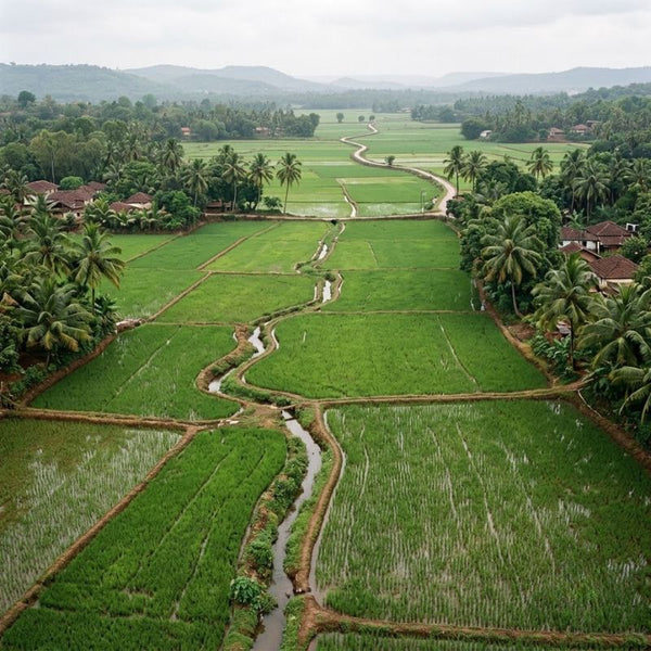 From our sourcing journey