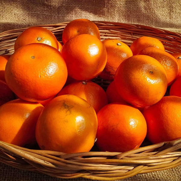 Tangerine- Sweet & Juicy Citrus | The Staple Kaka