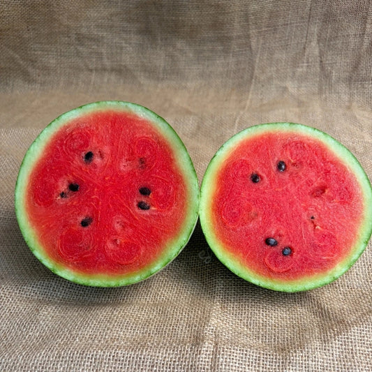 Chemical-Free Watermelons 🍉 | The Staple Kaka