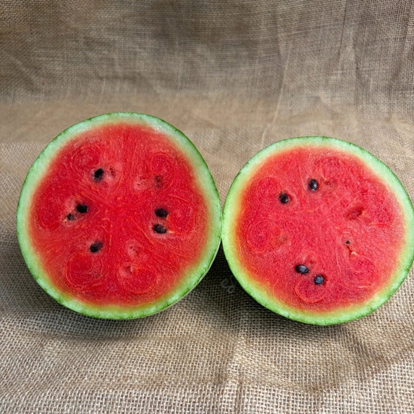 Chemical-Free Watermelons 🍉 | The Staple Kaka