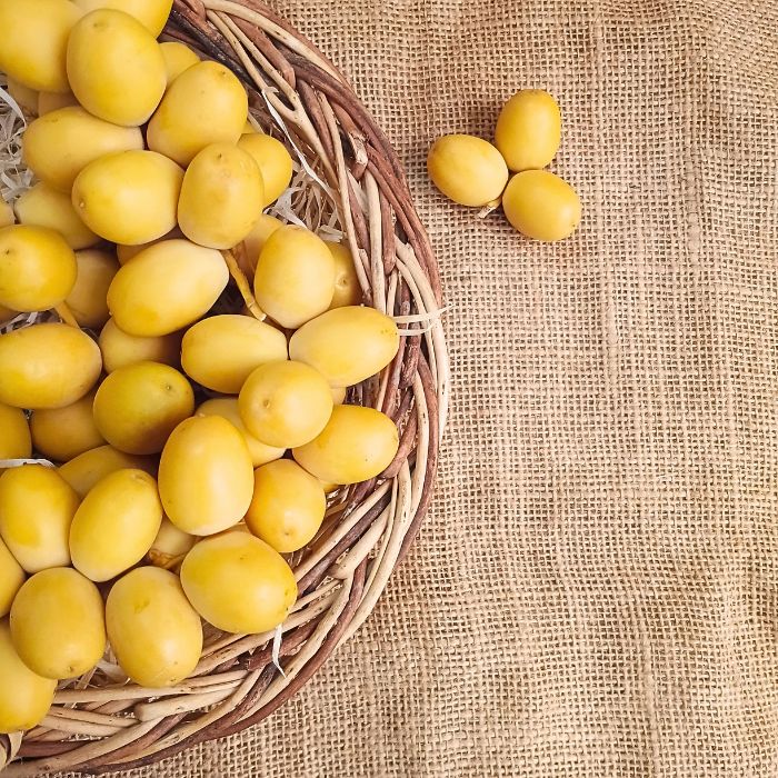 Fresh Yellow Dates| The Staple Kaka