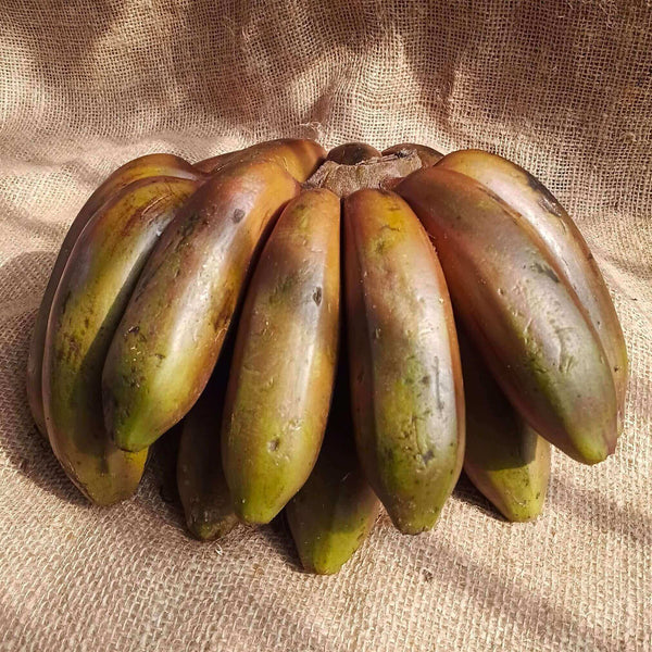 Red Banana - Organic & Naturally Sweet | The Staple Kaka