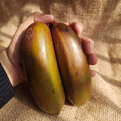 the staple kaka red banana