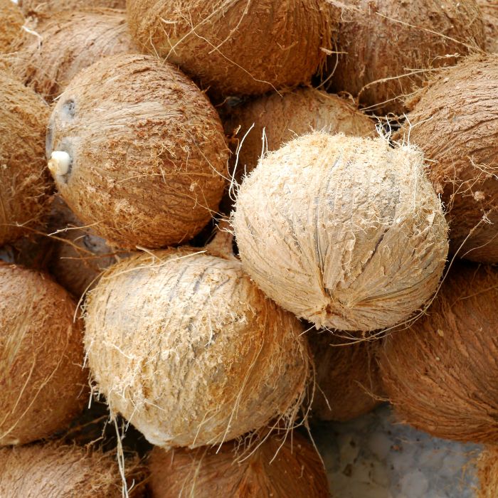 Brown Coconut (Whole) – Dindigul - Naturally Matured & Fresh - The Staple Kaka