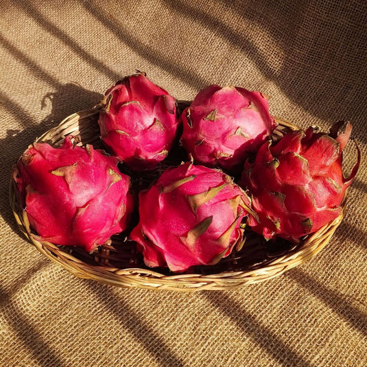 the staple kaka dragon fruit 