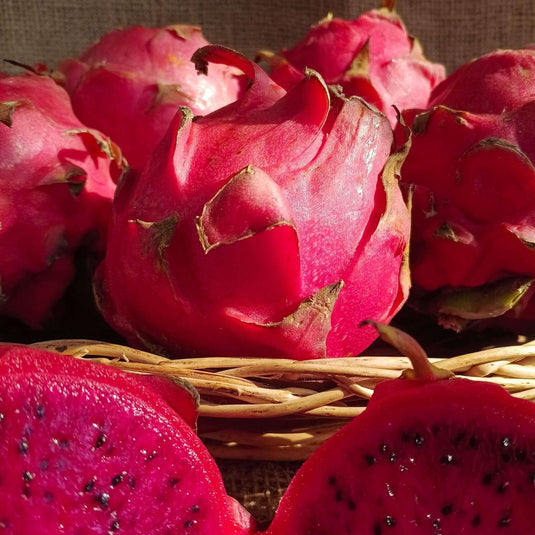 the staple kaka dragon fruit 