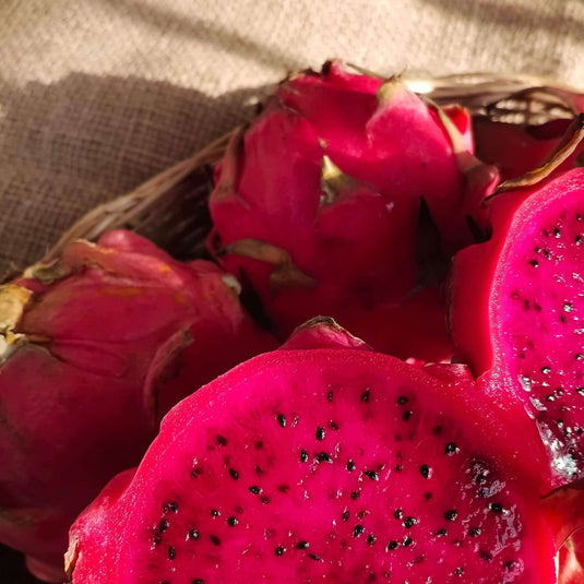 the staple kaka dragon fruit 