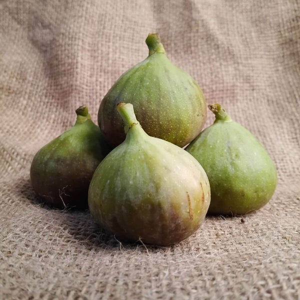 Fresh Figs - Organic & Fresh | The Staple Kaka