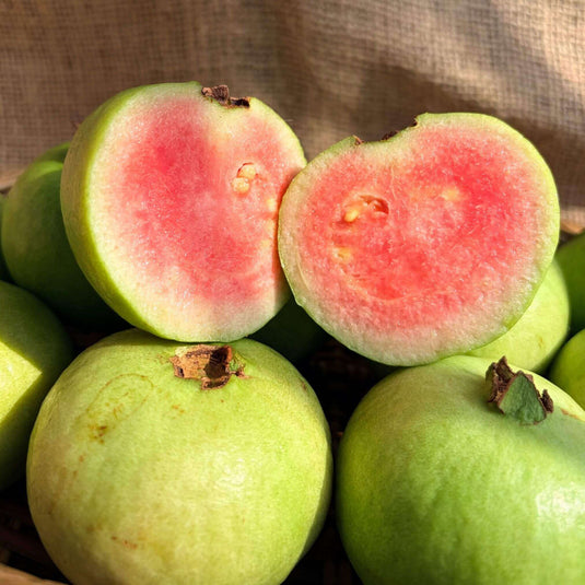 the staple kaka guava
