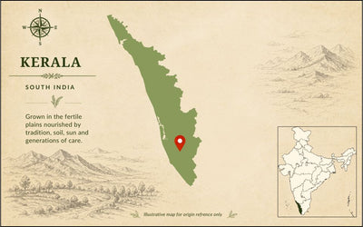 Black Pepper - Premium & Natural | The Staple Kaka — origin region map