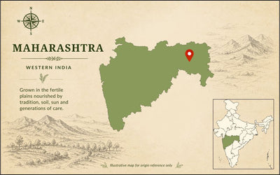 Indrayani Rice – Fragrant Heritage Rice from Maharashtra — origin region map