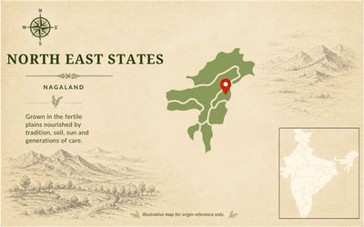 Black Rice (Chak-Hao) from Nagaland – Antioxidant-Rich Heritage Grain by Staple Kaka — origin region map