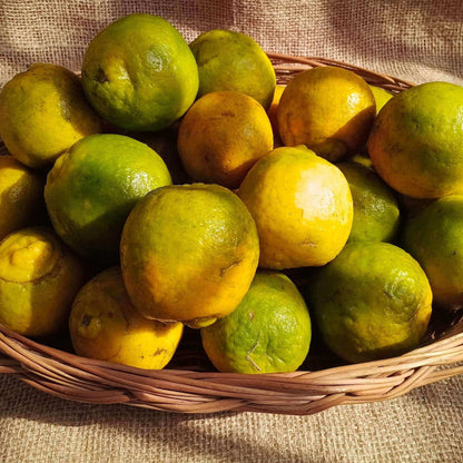 the staple kaka nagpur orange