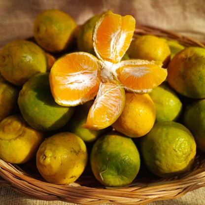 the staple kaka nagpur orange