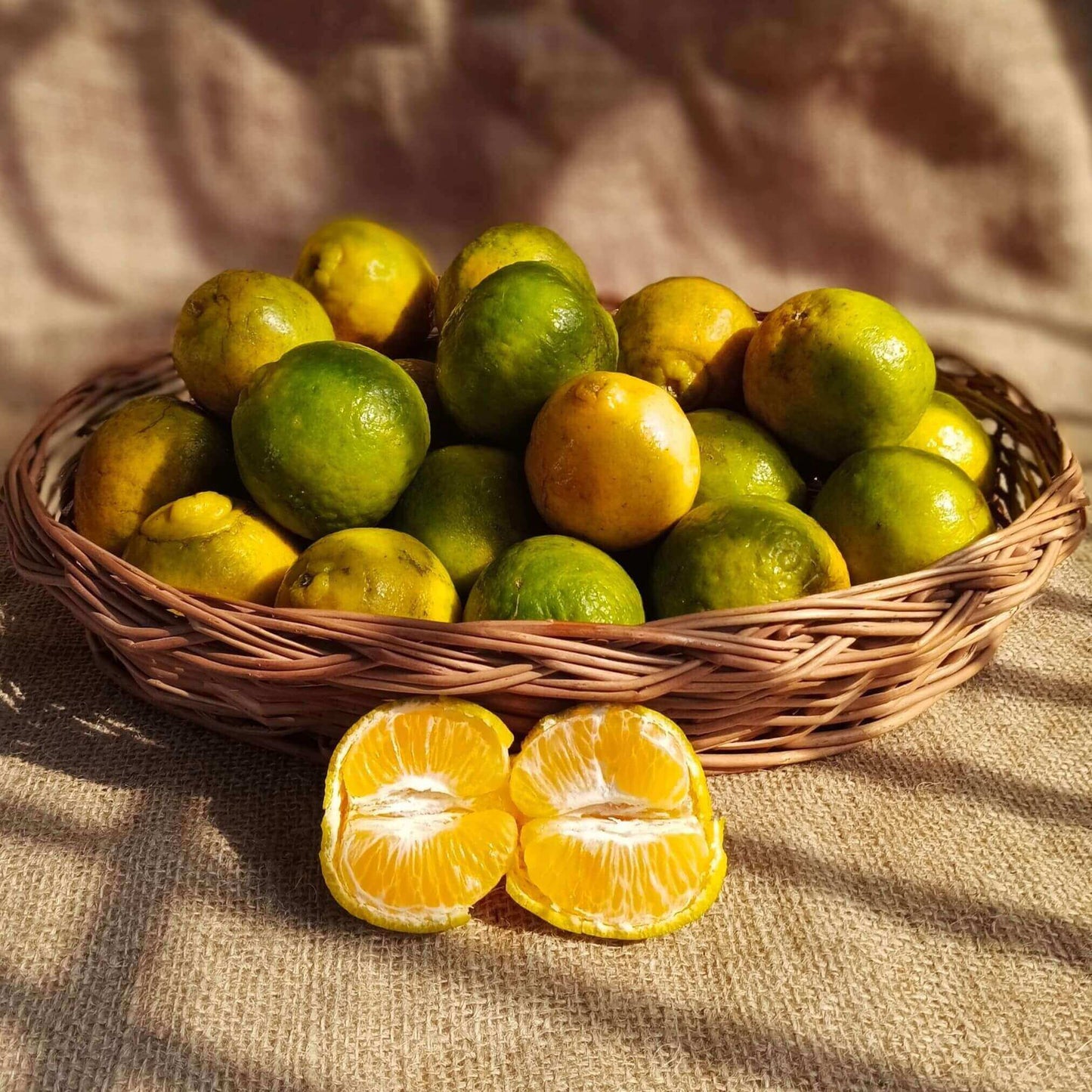 the staple kaka nagpur orange