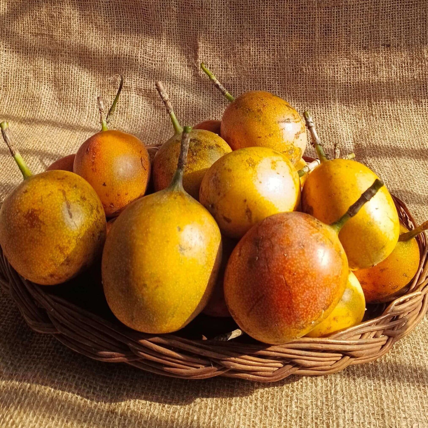 the staple kaka passion fruit