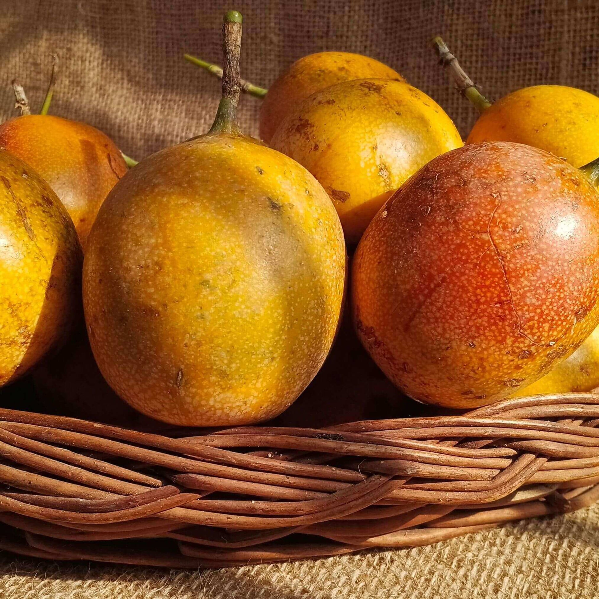 the staple kaka passion fruit