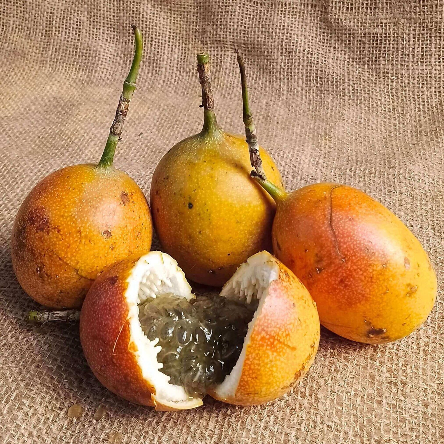 the staple kaka passion fruit