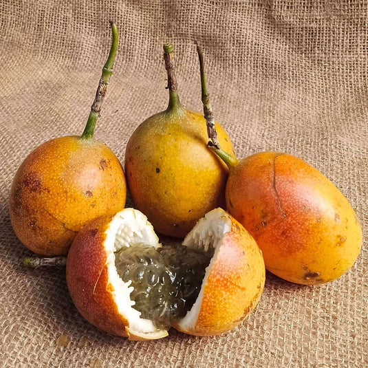 the staple kaka passion fruit
