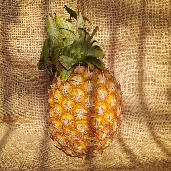Nagaland Kew Pineapple - Fresh & Naturally Sweet | The Staple Kaka