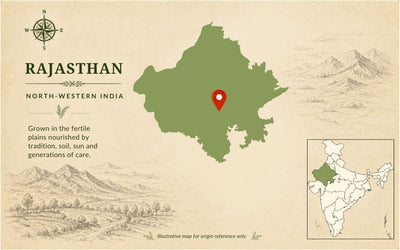 Ajwain (Carom Seeds) - Organic & Authentic | The Staple Kaka — origin region map