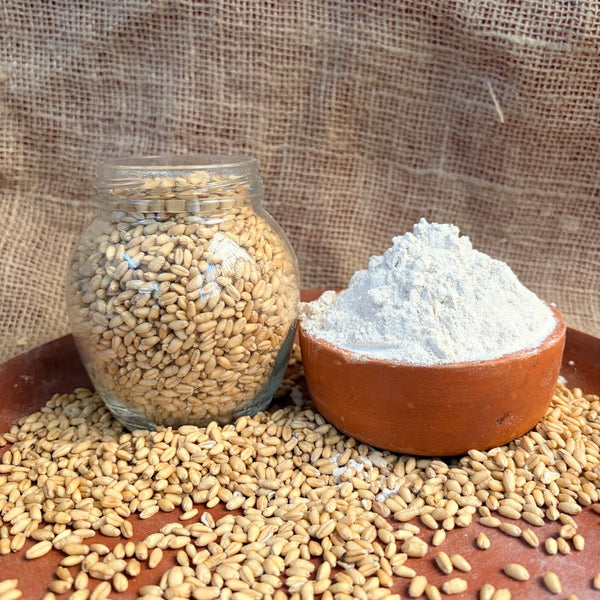 Sharbati Wheat Flour - Premium & Healthy | The Staple Kaka