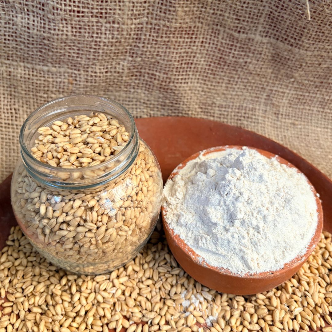 the staple kaka sharbati wheat flour