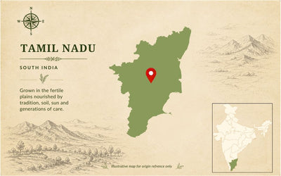 Jeeraga Samba Rice – Traditional Aromatic Rice of Tamil Nadu by Staple Kaka — origin region map