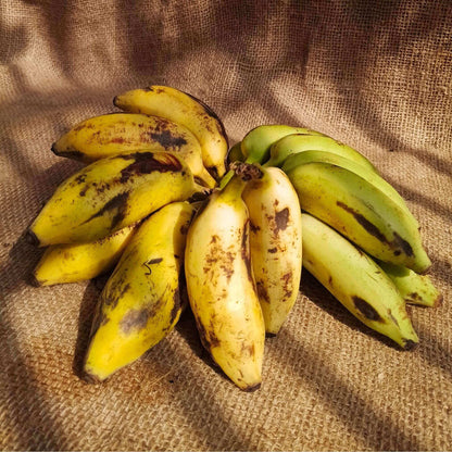 the staple kaka yelakki banana